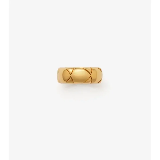 Anillo con segmento de escudo