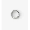 Anillo con segmento de escudo