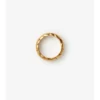 Anillo con segmento de escudo