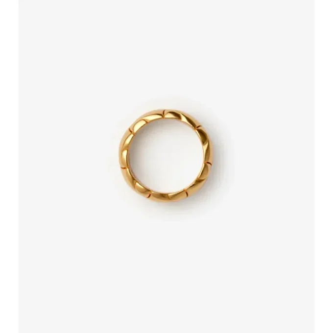 Anillo con segmento de escudo