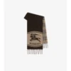 Bufanda reversible con estampado de caballero