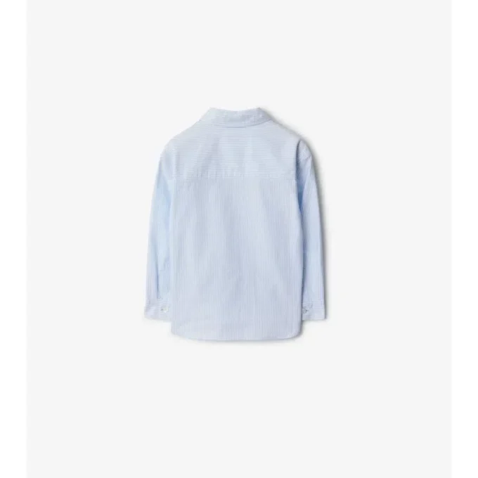 Camisa Oxford de algodón a rayas