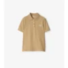 Camisas de algodón
