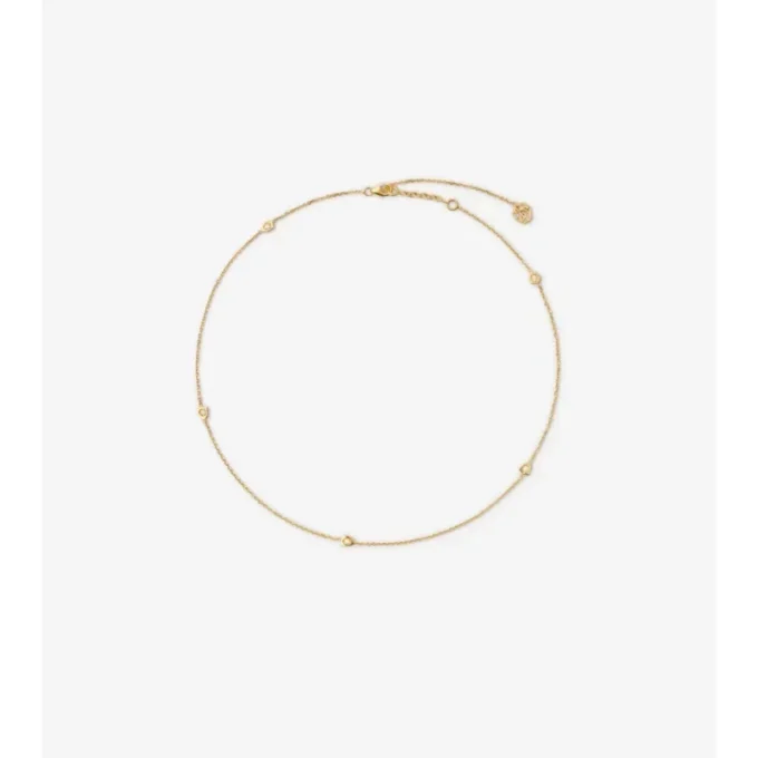 Collar con cadena y escudo